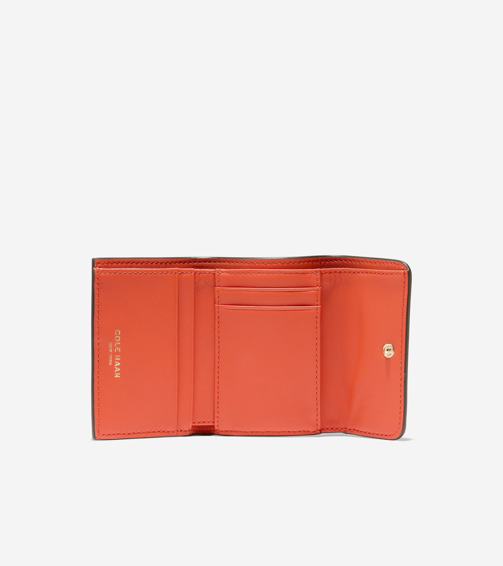 U08639:SUMMER FIG:0000