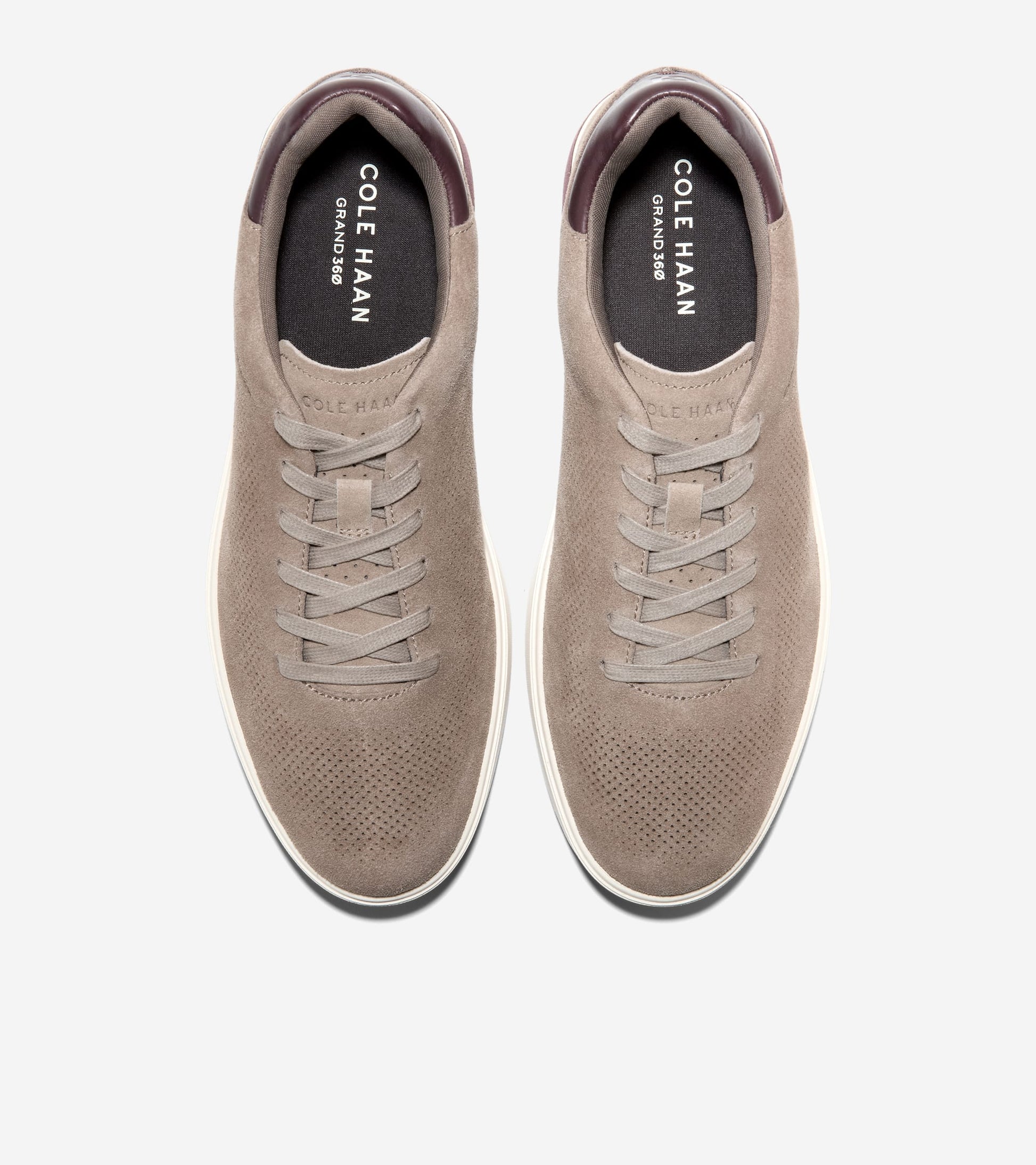 C41348:CH IRISH COFFEE SUEDE / CH CHOCOLATE RAISIN / IVORY