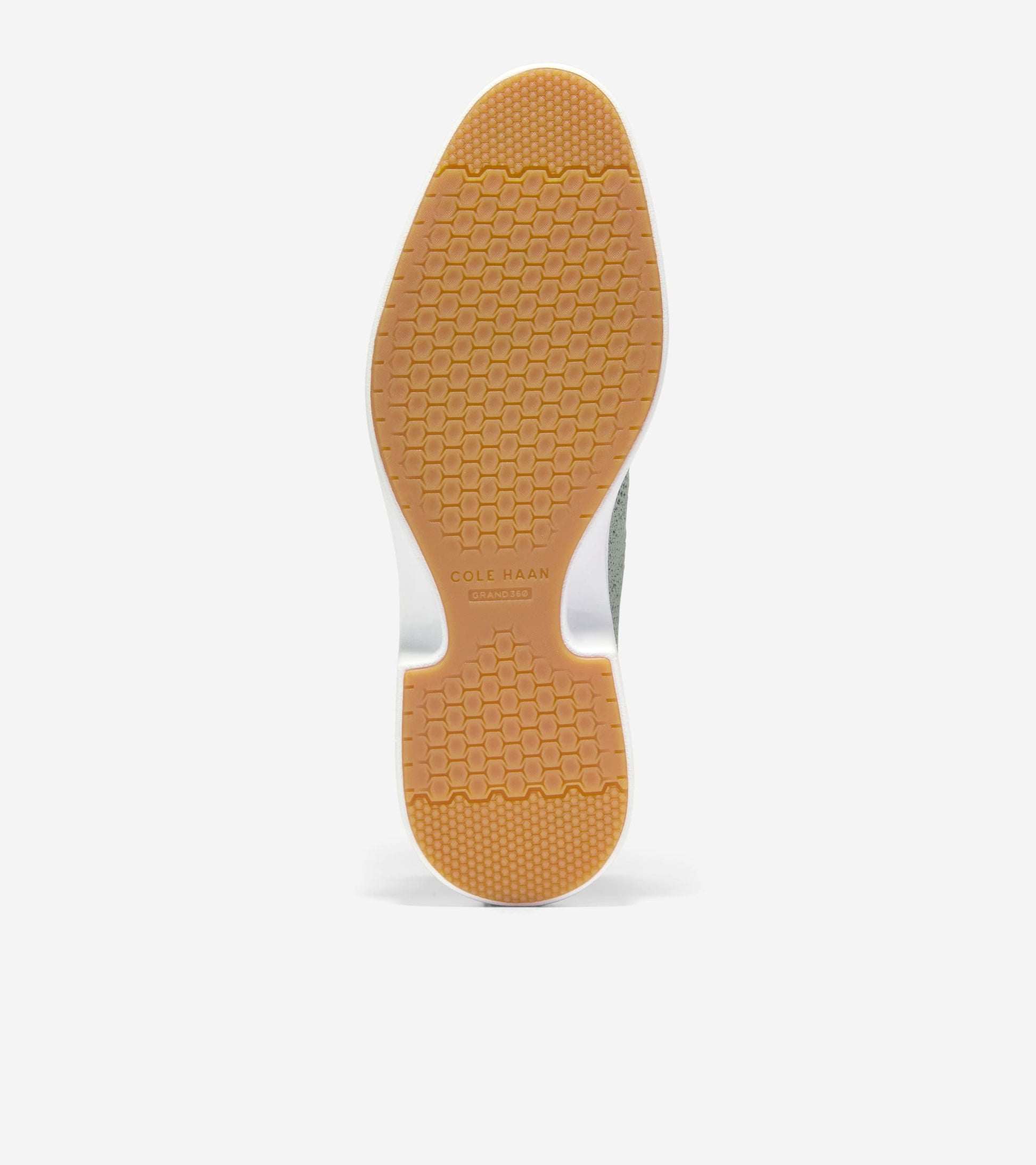 W36984:LILY PAD STITCHLITE / LTHR